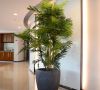 guangzhou factory sell 170cm height artificial kwai tree potted