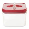Food Storage Container