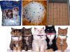 All kinds of silica gel cat litter