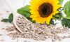 Sunflower Kernels
