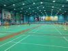 badminton court surfac...