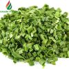 2019 new crop organic vegetables dehydrated chives