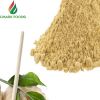 Wholesale bulk dehydrated ginger powder with cheap price