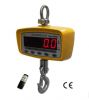 portable crane scale WCS-SP