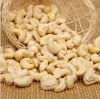 Grade A quality Raw Cashew Nut Organic Cashew Nuts W450 W320 W240 W180 vietnam factory price thailand  Cashew kernel 