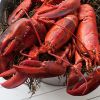 Frozen Lobster Tails, Frozen Live Canadian Lobster 