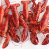 Frozen Lobster Tails, Frozen Live Canadian Lobster 