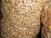 Premium-Grade and Dried Style Dried and Fresh Style and Blanched Processing Type Cashew /Cashew Nuts 