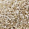 Quinoa Grain/ Quinoa Seeds/Organic Quinoa Grain for sales