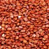 2019 crop High Protein Organic Quinoa For Export