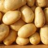 delicious fresh potato thailand market price