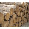 Mahognay Wood Logs