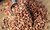 High Quality Pinto Dri...