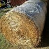 Cheap Alfafa Hay for Animal Feeding Stuff Alfalfa, hay/alfalfa hay pellets