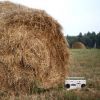 high quality alfalfa hay, alfalfa hay price, alfalfa hay bales