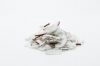 dry coconut chips