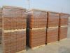 Roofing Nail(with rubbe)