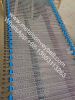 Food Grade Food Processing SS 304/316 Chain Driven Wire Mesh Conveyor Belt