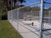 Chain Link Fence