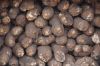 Fresh Quality Yam Tubers