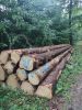 Spruce 14-18cm / 20+cm 11.5 m +0.3 free trim logs from Germany