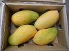 Fresh Fruit ( Mango, O...