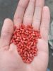 Plastic, PP granules. ...