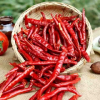 Pepper-Glow by Happy Fresh &quot;Naturally vibrant. Boldly fresh&quot;