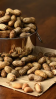Happy Fresh Nut-farm &amp;quot;Pure, Local, Natural Dry Fruits&amp;quot;