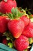 Fresh Strawberries Cla...
