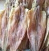 DRIED CUTTLEFISH