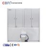 Crystal 5 Ton Cube Ice Machine with Plastic Ice Bag Packing