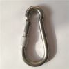 Carabiner Hook Snap Hook with Screw