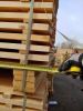 New fresh BIRCH LOGS from our new Belarussian mill boards before drying from Germany