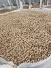 wood pellets from the ...