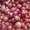 Onion, red onion, white onion, yellow onion