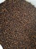 Cloves, High Quality Premium Cloves