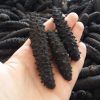 Turkish Sea Cucumber D...