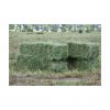 Quality alfalfa hay ba...