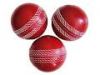 CRICKET BALL