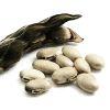 Mucuna Pruriens Seeds/...