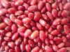 Red Kidney Beans -  Farming kidney Beans for sale Visit