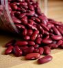 Red Kidney Beans -  Farming kidney Beans for sale Visit