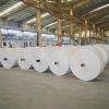 Rols of PP bags