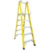 Insultated Fiberglass FRP Ladder with Platform & Handrail 