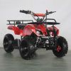 49CC Mini Kids Quad Bike ATV