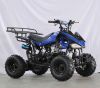 110CC Mini ATV