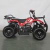 49CC Mini Kids Quad Bike ATV