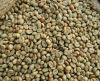 Robusta Coffee Beans 