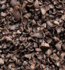 Palm Kernel Shells